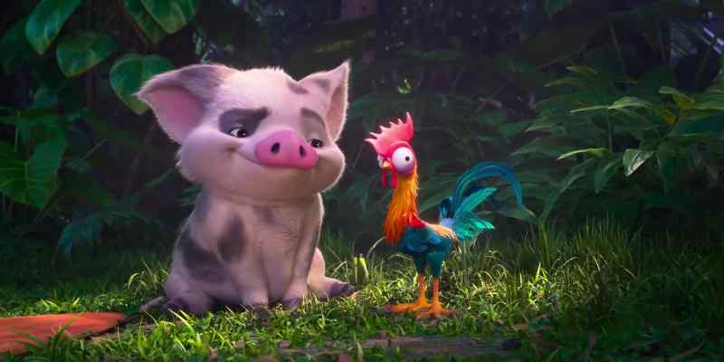 You sweet, beautiful chicken!