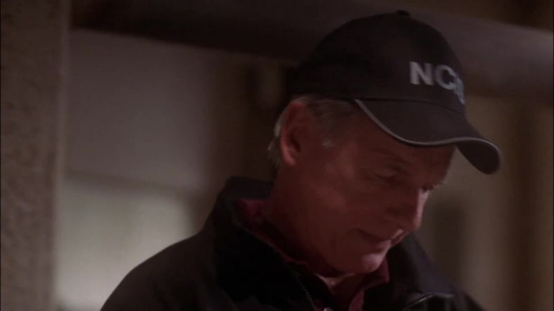 You think DiNozzo