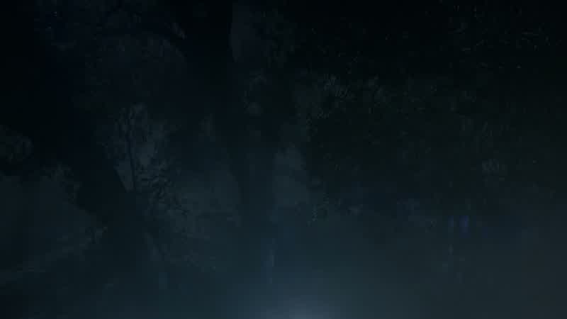 You think it's a, a wolf-wolf or