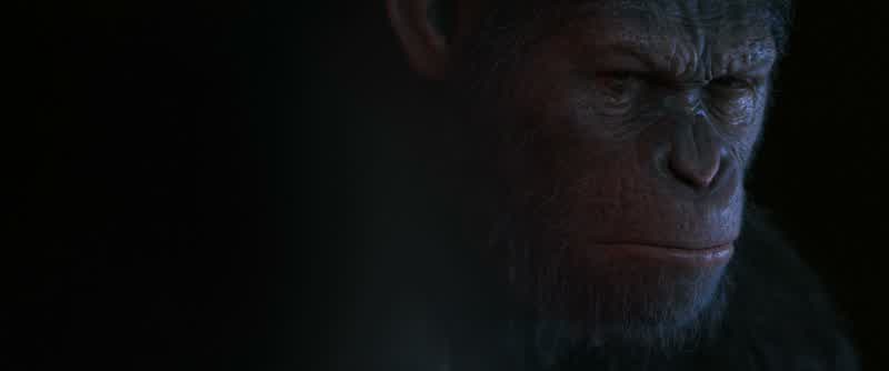 You think you will find him