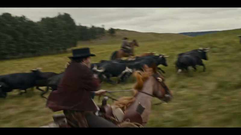 You told me you rustled cattle