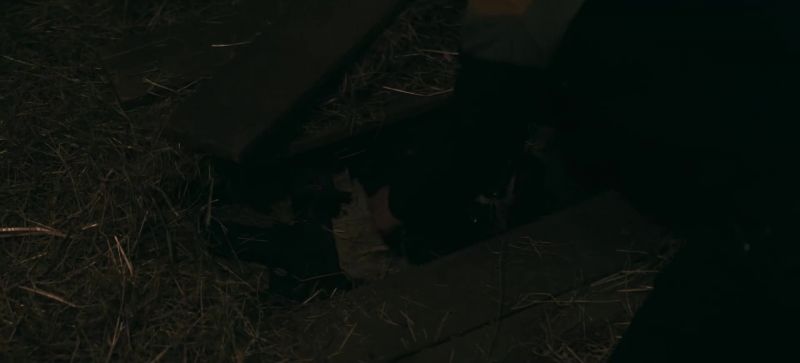 You took his weapons?