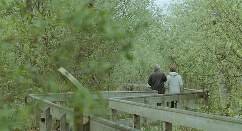 You used to love your birdwatching I did yes