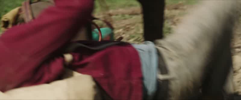 You wanna look at 'em?