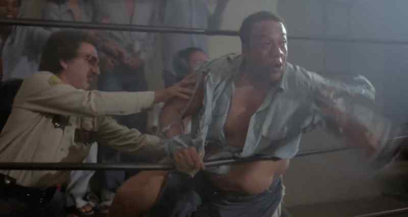 You want a fight I'll take him