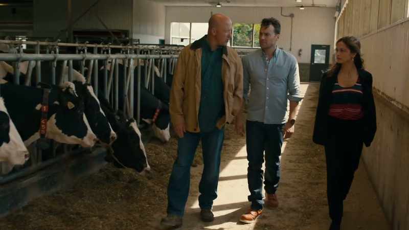 You want your cows to fatten up