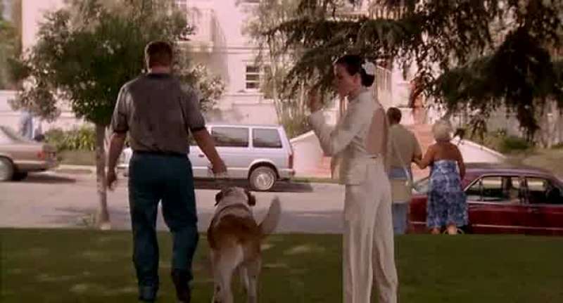 You want your dog back Call my lawyer
