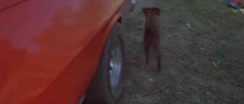 You want to drive the car? Yeah?