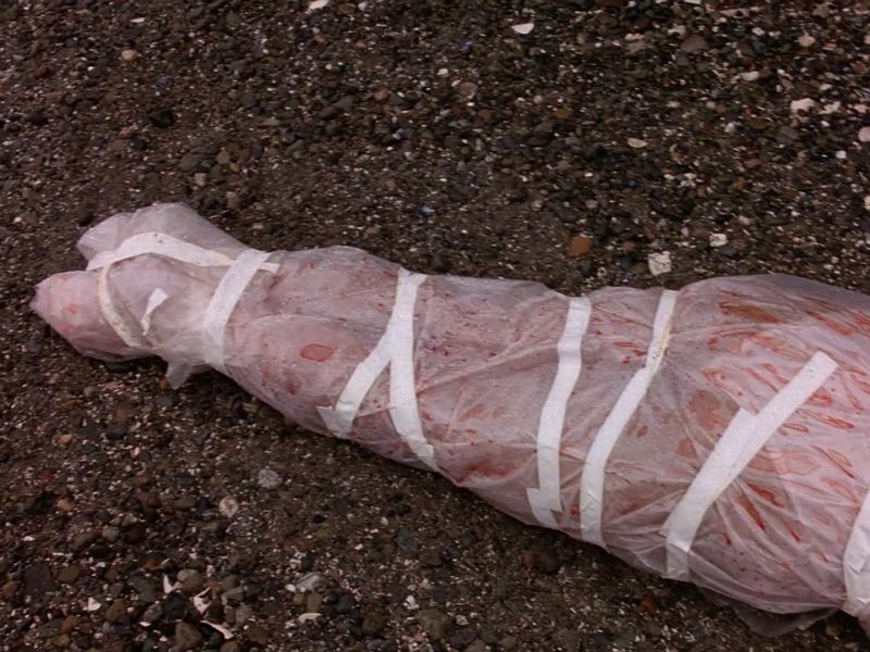 You want forensics first?