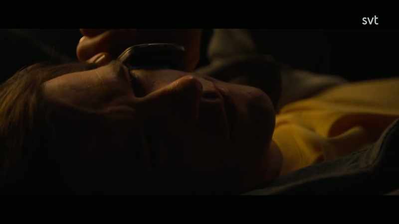 You want to read Twilight?