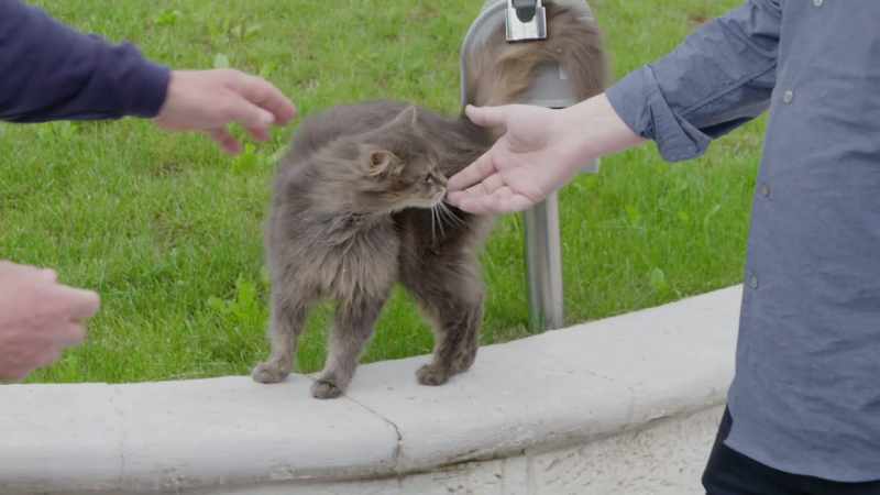 >> YOU WANT TO GRAB IT A BIT