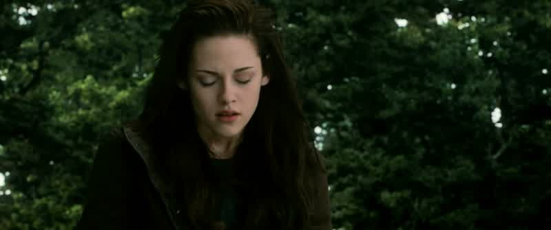 You wanted me to be human