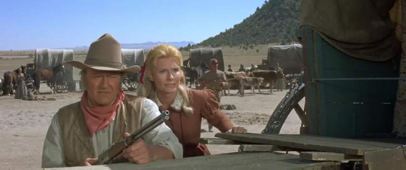 You went out there to talk Why did you have to shoot the man