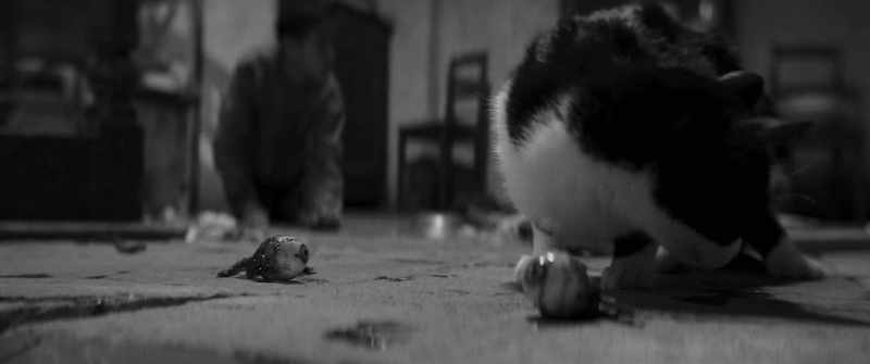 You whore! You whore!