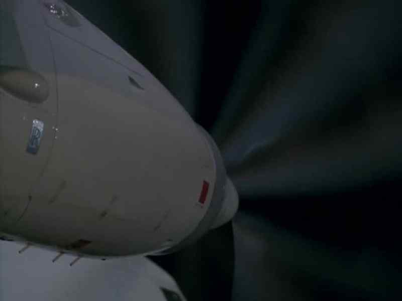 You will fly us out of here now!