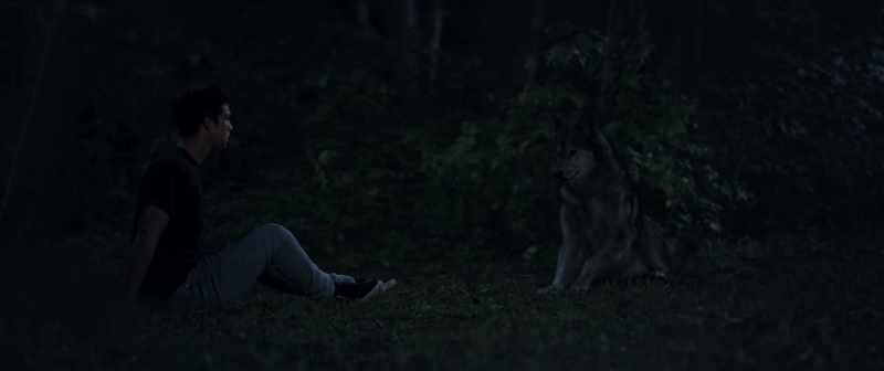 You would be trapped between the shadow world and yours forever