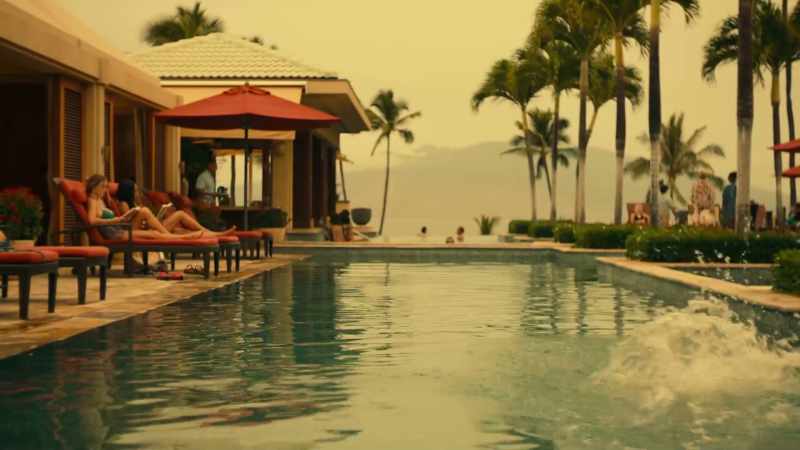You'd love Hawaii. Everything's so lush