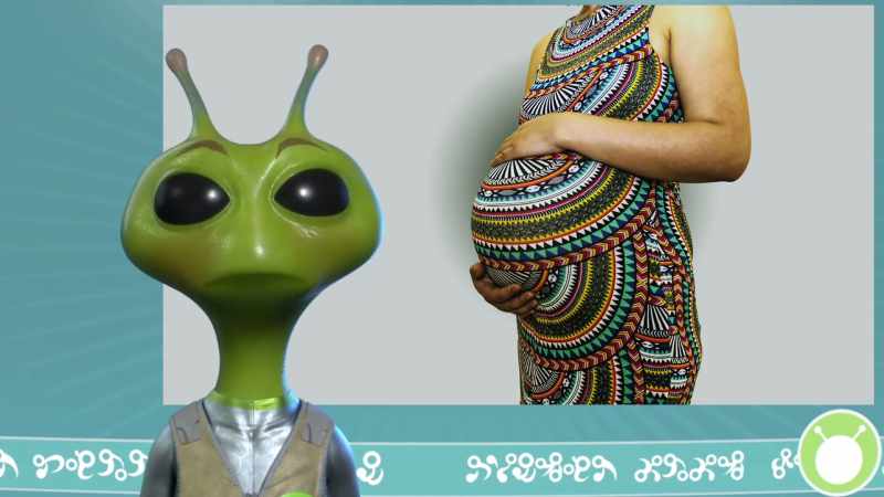 You'd think that humans would be careful when expecting a baby