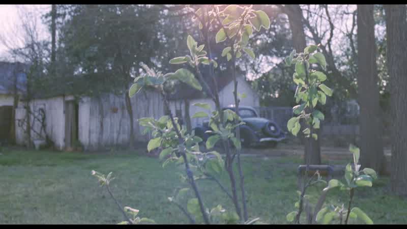 You'll be grown before that tree is tall