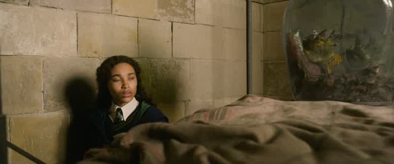 YOUNG LETA: Scamander, why aren't you packing?