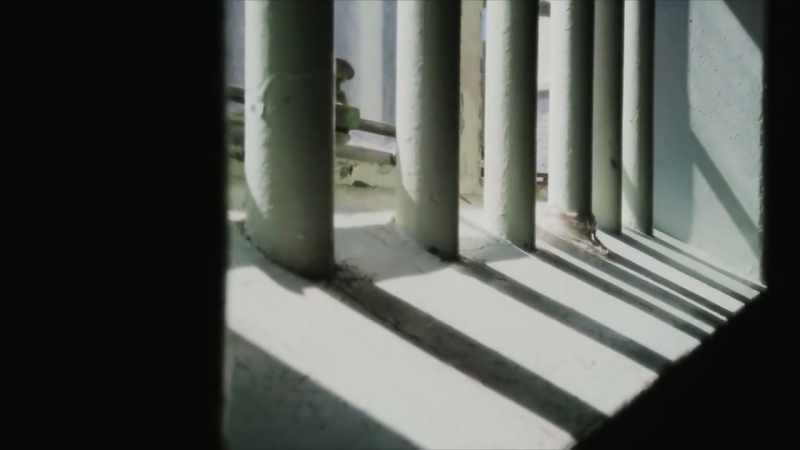 Young offenders are usually given some level of leniency