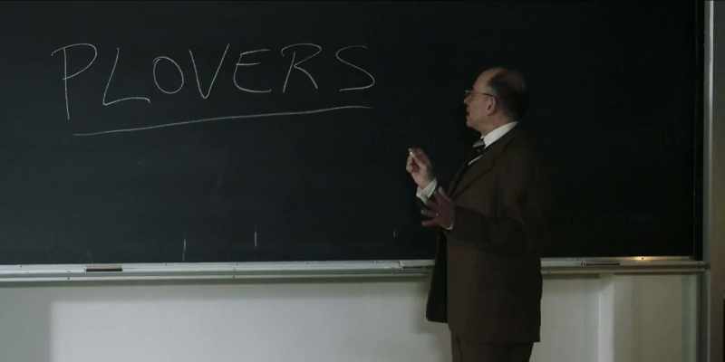 Your basic plover is a, uh