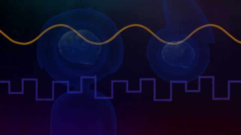 Your brain waves are in
