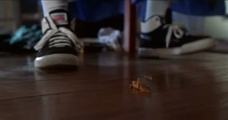 Your brother's bug!