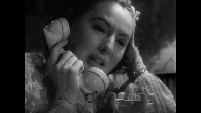 Your call, please. - Operator, give me the police now