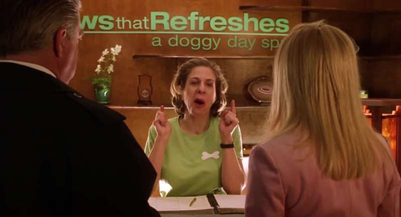 Your dogs are gay