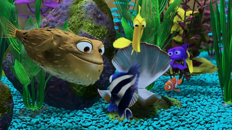 Do you know where my dad isHoney your dad's probably back at the pet storePet storeYeah you know like I'm from Bob's Fish MartPet Palace Fish O RamaMail order Ebay