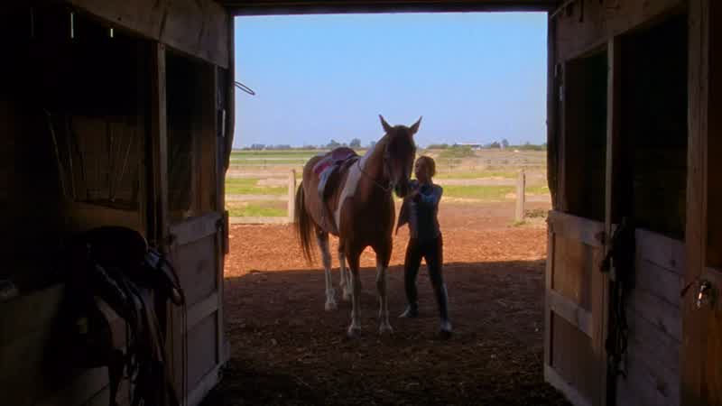 Your form's good, but his gait's off
