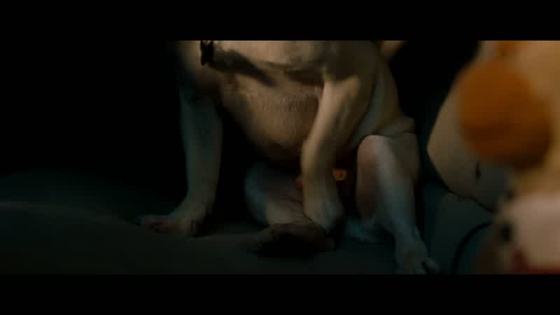 Your fucking dog's doing it too