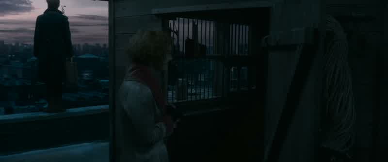 Your grandfather kept pigeons?