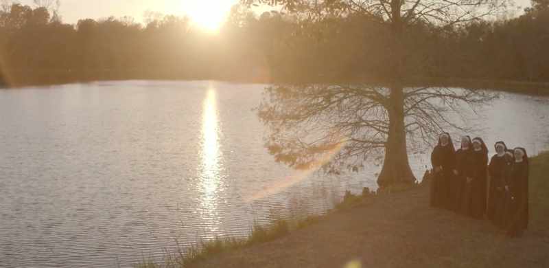Your immersion in the waters