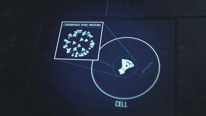 Your immune system still recognizes this powerless spike