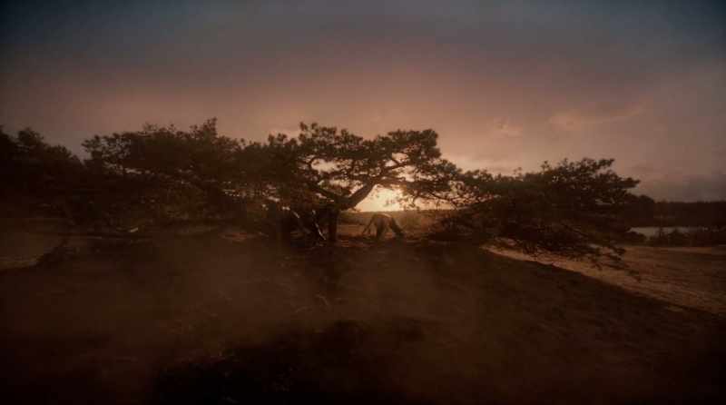 Your roots and your story will be reborn