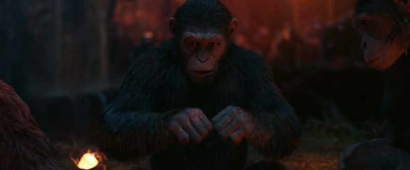 Your son's been gone, Caesar
