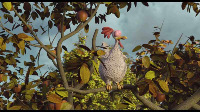 You're a bird. - No, no, and no
