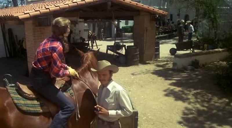 You're a horseman?