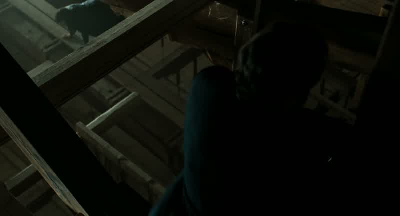 You're being stupid now, Professor Langdon!
