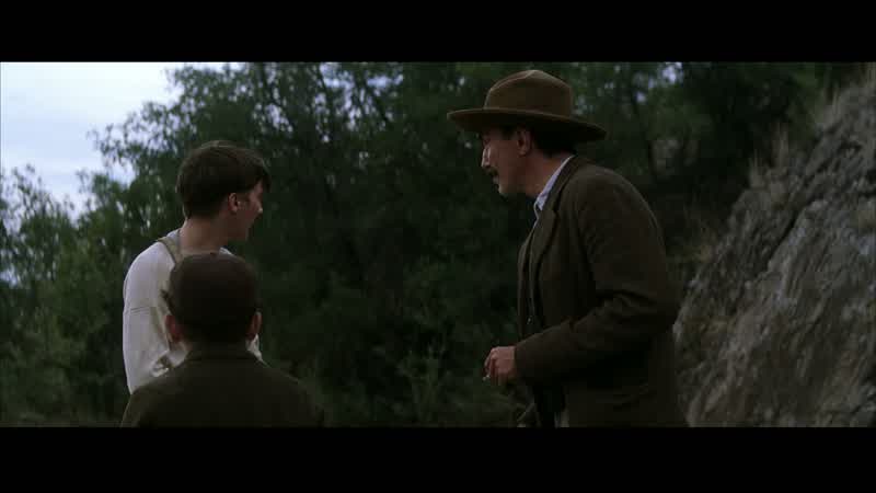 You're hunting quail?