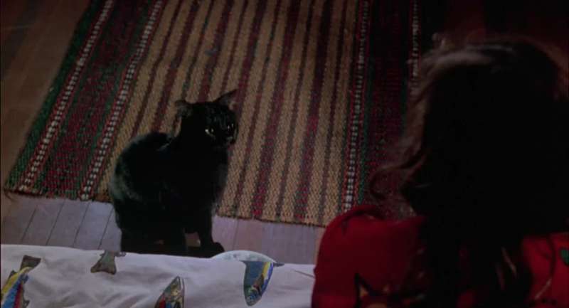 You're my kitty nowYou'll have milk and tuna fish every day and you'll only hunt mice for funYou're going to turn me into one of those fat useless contented house catsYou betcha