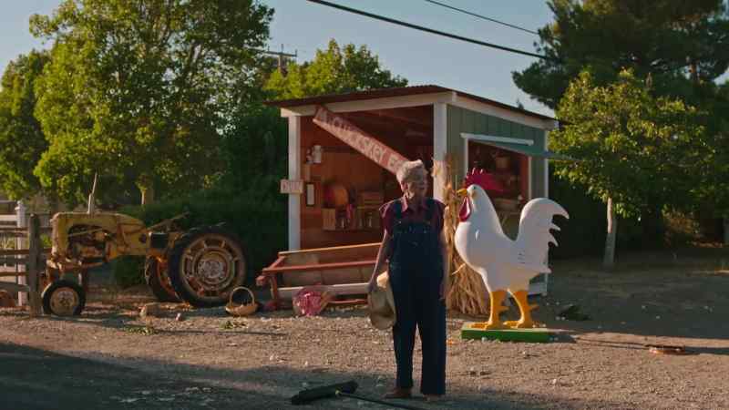 You're not gonna buy any eggs?