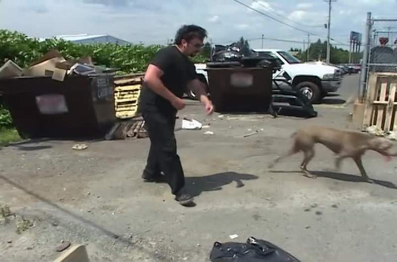 You're prostituting yourself out for cheeseburgers again