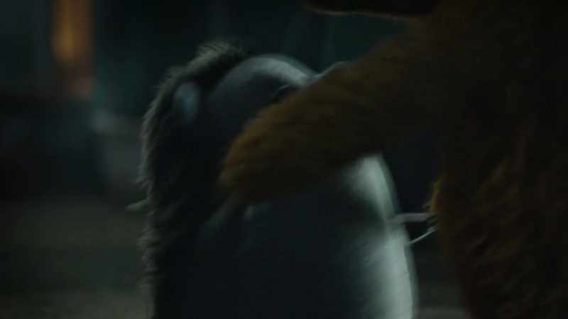 You're so soft and fluffy and have such long arms!