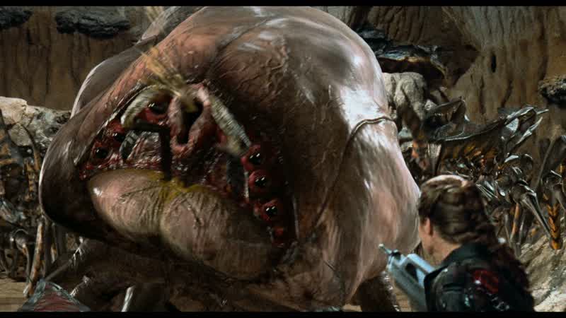 You're some kind of big fat smart Bug aren't you