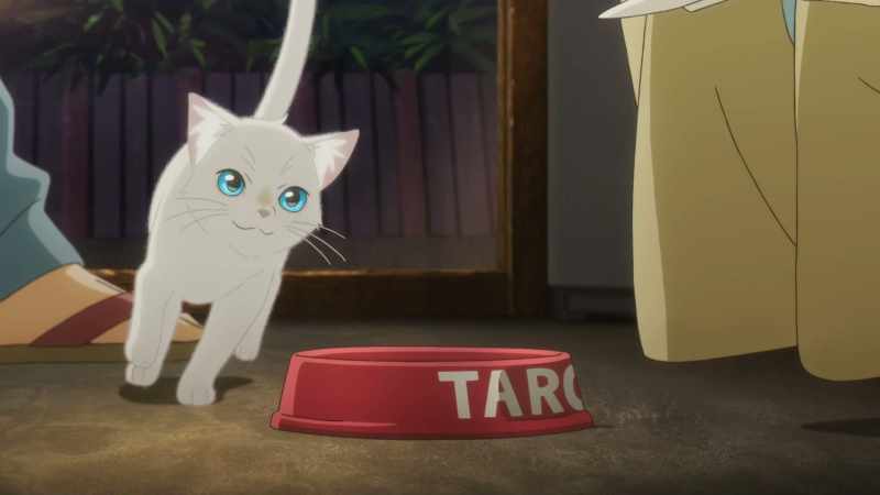 You're Taro's reincarnation, aren't you?
