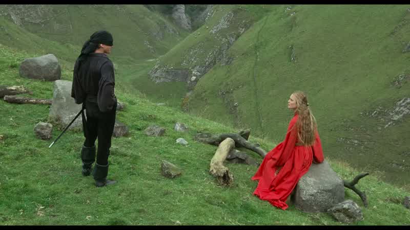 You're the Dread Pirate Roberts Admit itWith pride What can I do for youYou can die slowly cut into a thousand piecesHardly complimentary Your HighnessWhy loose your venom on meYou killed my loveIt's