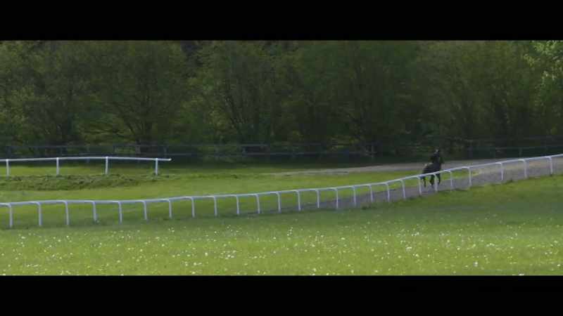 Youth Spirit who had smart form as a two year old